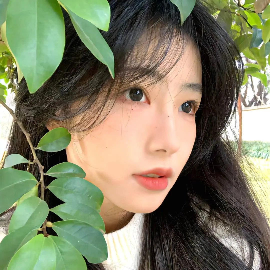 鲁蛇大翻身